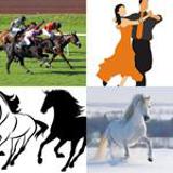 6 Buchstaben Lösung Galopp