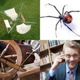 6 Buchstaben Lösung Spinne