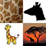 7 Buchstaben Lösung Giraffe